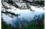 汕尾市去到張家界旅游的旅行社團(tuán)隊(duì)優(yōu)惠折扣報(bào)價