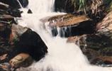 玉龍?jiān)?、響水?></a></dd>
  <dd>
	 

	

	 

	　　雨母山西北一個(gè)山皂，東西縱向長(zhǎng)達(dá)1公里。有叫玉龍?jiān)?，有叫響水皂。該皂有響水泉和響水瀑布。在玉龍?jiān)砼c九龍沖相隔的山坳，叫玉龍騰山坳，簡(jiǎn)稱玉龍坳。玉龍土皂現(xiàn)駐有供電所、林場(chǎng)和蒸湘區(qū)黨校。在玉龍?jiān)淼?，有一泉臺(tái)，叫玉龍臺(tái)。...[<a href=
