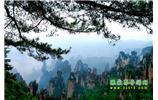 【純玩獨(dú)立成團(tuán)線(xiàn)路1】張家界、袁家界、天子山、寶峰湖/黃龍洞二晚三日