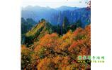長(zhǎng)沙往返張家界、天子山、寶峰湖/黃龍洞三日游