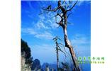 湘西之旅：張家界、天子山、寶峰湖/黃龍洞、鳳凰古城、猛洞河漂流、天門山六日游