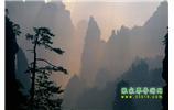 張家界國(guó)家森林公園、寶峰湖/黃龍洞、鳳凰古城、三峽八日游