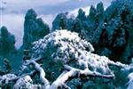【純玩拼團(tuán)線路18】下午班：鳳凰古城、張家界、天子山三晚四日游