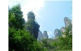 【純玩拼團線路 張家界出發(fā)A2線】張家界、袁家界、天子山、金鞭溪、鳳凰古城2晚3日游